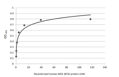 Human ACE2 (ECD) protein, mouse IgG Fc tag (active). GTX135683-pro