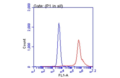 Anti-SARS-CoV-2 (COVID-19) Spike RBD antibody used in Flow cytometry (FACS). GTX135709