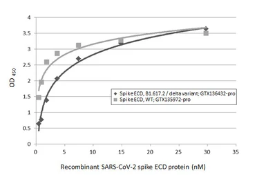 Anti-SARS-CoV-2 (COVID-19) Spike RBD antibody used in ELISA (ELISA). GTX135709