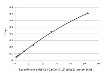 SARS-CoV-2 (COVID-19) Spike S1 protein, His tag (active). GTX135817-pro