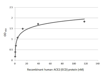 SARS-CoV-2 (COVID-19) Spike RBD Protein, B.1.1.7 / Alpha variant, His tag (active). GTX136014-pro