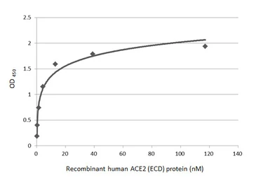 SARS-CoV-2 (COVID-19) Spike RBD Protein, B.1.1.7 / Alpha variant, His tag (active). GTX136014-pro