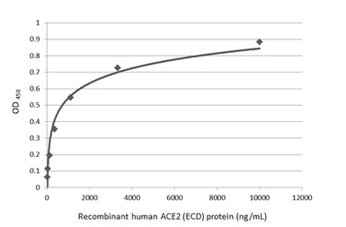 SARS-CoV-2 (COVID-19) Spike RBD Protein, B.1.351 / Beta variant, His tag (active). GTX136022-pro