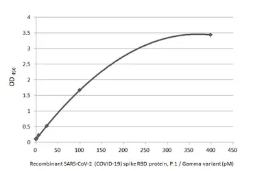 SARS-CoV-2 (COVID-19) Spike RBD Protein, P.1 / Gamma variant, His tag (active). GTX136043-pro