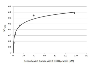 SARS-CoV-2 (COVID-19) Spike RBD Protein, B.1.1.7 with E484K, His tag (active). GTX136058-pro