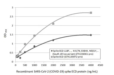 SARS-CoV-2 (COVID-19) Spike (ECD) Protein, B.1.351 / Beta variant, His tag (active). GTX136061-pro