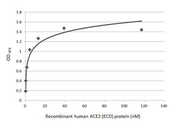 SARS-CoV-2 (COVID-19) Spike S1 Protein, B.1.1.7 / Alpha variant, His tag (active). GTX136085-pro