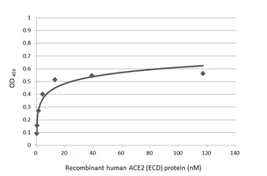 SARS-CoV-2 (COVID-19) Spike (ECD) Protein, P.1 / Gamma variant, His tag (active). GTX136091-pro