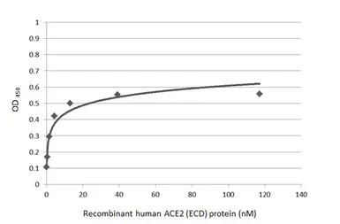 SARS-CoV-2 (COVID-19) Spike (ECD) Protein, P.1 / Gamma variant, His tag (active). GTX136091-pro