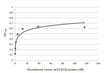 SARS-CoV-2 (COVID-19) Spike (ECD) Protein, P.1 / Gamma variant, His tag (active). GTX136091-pro