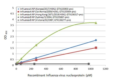 Influenza A virus Nucleoprotein (A/Hong Kong/2671/2019 (H3N2)), DDDDK Tag. GTX136317-pro