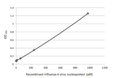 Influenza A virus Nucleoprotein (A/Hong Kong/2671/2019 (H3N2)), DDDDK Tag. GTX136317-pro