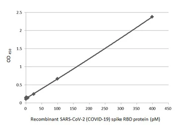 SARS-CoV-2 (COVID-19) Spike RBD Protein, Omicron / BA.1 variant, His tag. GTX136716-pro