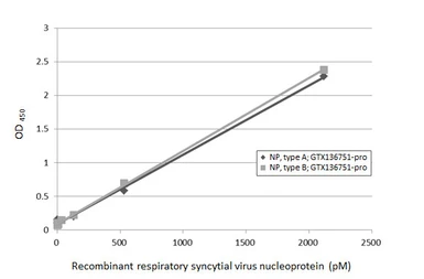 Respiratory Syncytial virus type A Nucleoprotein, DDDDK tag. GTX136751-pro