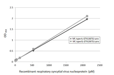 Respiratory Syncytial virus type A Nucleoprotein, DDDDK tag. GTX136751-pro