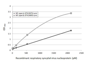 Respiratory Syncytial virus type A Nucleoprotein, DDDDK tag. GTX136751-pro