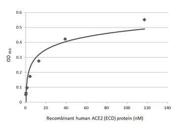 SARS-CoV-2 (COVID-19) Spike RBD Protein, Omicron / BA.4 / BA.5 variant, His tag. GTX137098-pro