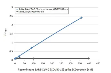 SARS-CoV-2 (COVID-19) Spike RBD Protein, Omicron / BA.4 / BA.5 variant, His tag. GTX137098-pro