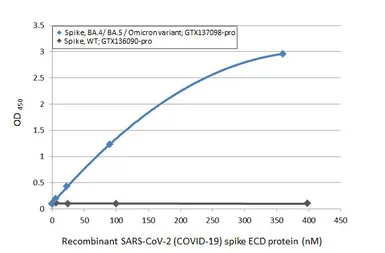 SARS-CoV-2 (COVID-19) Spike RBD Protein, Omicron / BA.4 / BA.5 variant, His tag. GTX137098-pro