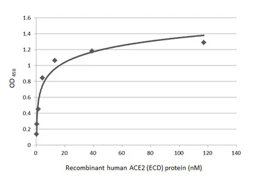 SARS-CoV-2 (COVID-19) Spike (ECD) Protein, Omicron / BA.4 / BA.5 variant, His tag. GTX137113-pro