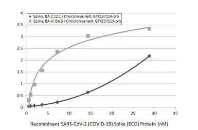 SARS-CoV-2 (COVID-19) Spike (ECD) Protein, Omicron / BA.2.12.1 variant, His tag. GTX137114-pro