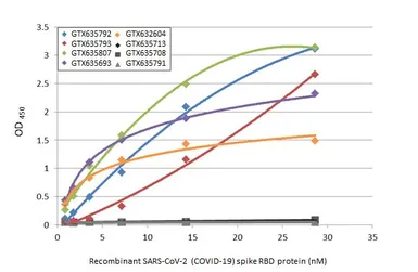 SARS-CoV-2 (COVID-19) Spike (ECD) Protein, Omicron / BA.2.75 variant, His tag. GTX137533-pro