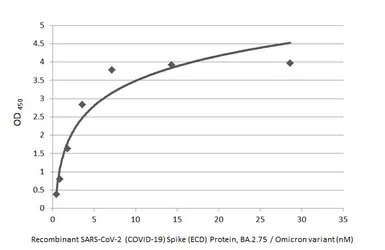 SARS-CoV-2 (COVID-19) Spike (ECD) Protein, Omicron / BA.2.75 variant, His tag. GTX137533-pro