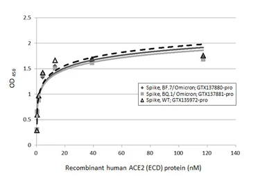 SARS-CoV-2 (COVID-19) Spike (ECD) Protein, Omicron / BF.7 variant, His tag. GTX137880-pro