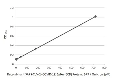 SARS-CoV-2 (COVID-19) Spike (ECD) Protein, Omicron / BF.7 variant, His tag. GTX137880-pro