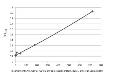 SARS-CoV-2 (COVID-19) Spike (ECD) Protein, Omicron / BQ.1 variant, His tag. GTX137881-pro