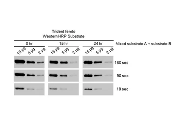 Trident femto Western HRP Substrate. GTX14698