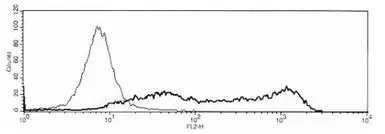 Anti-OPG antibody [bony-1] used in Flow cytometry (FACS). GTX18051