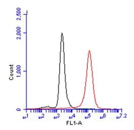 Goat Anti-Rabbit IgG antibody (DyLight488). GTX213110-04