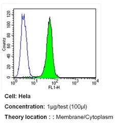 Anti-PMCA ATPase antibody [5F10] used in Flow cytometry (FACS). GTX22825