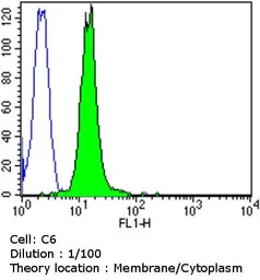 Anti-CACNA2D1 antibody [20A] used in Flow cytometry (FACS). GTX22864