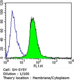 Anti-CACNA2D1 antibody [20A] used in Flow cytometry (FACS). GTX22864