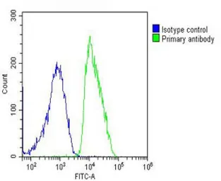 Anti-DDR1 antibody used in Flow cytometry (FACS). GTX25508