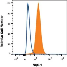 Anti-NQO1 antibody [A180] used in Flow cytometry (FCM). GTX30626