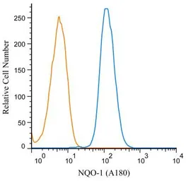 Anti-NQO1 antibody [A180] used in Flow cytometry (FCM). GTX30626