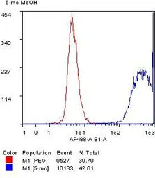 Anti-5-Methylcytosine / 5-mC antibody [RM231] used in Flow cytometry (FACS). GTX33606