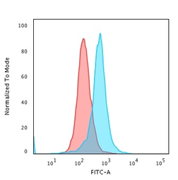 Anti-Calponin 1 antibody [CALP] used in Flow cytometry (FACS). GTX34451