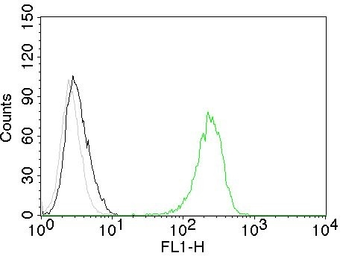 Anti-CD71 antibody [TFRC/1059] used in Flow cytometry (FACS). GTX34548