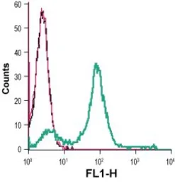 Anti-MCT1 antibody used in Flow cytometry (FACS). GTX35258