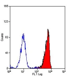 Anti-C5a R1 antibody [10/92] used in Flow cytometry (FCM). GTX41773