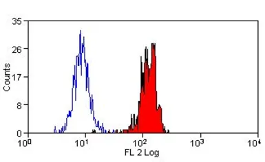 Anti-Dectin-1 antibody [GE2] (PE) used in Flow cytometry (FACS). GTX42982