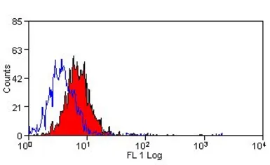 Anti-CD63 antibody [AD1] (FITC) used in Flow cytometry (FACS). GTX43525