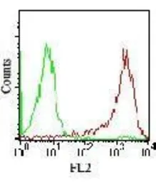 Anti-SSEA-4 antibody [MC-813-70] used in Flow cytometry (FACS). GTX48037