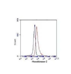 Anti-Hexokinase II antibody [1E8-H3-F11] used in Flow cytometry (FACS). GTX49233