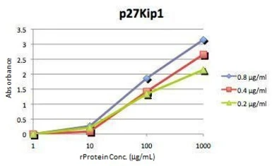 p27 Kip1 ELISA Pair. GTX500006