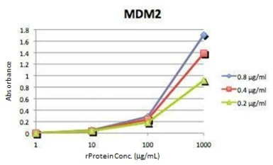 MDM2 ELISA Pair. GTX500007